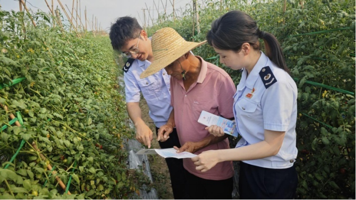 [人民日报]湛江：向“新”出发，赴一场春日的税宣之约