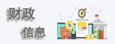 财政信息