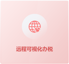 远程可视化办税
