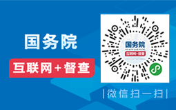 国务院互联网+督查