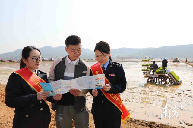 Heyuan: Tax Benefits help spring ploughing and support ‘space rice’ production