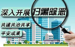 深入开展扫黑除恶，共建共治共享平安成果