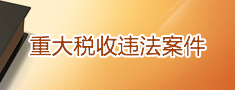 重大税收违法案件