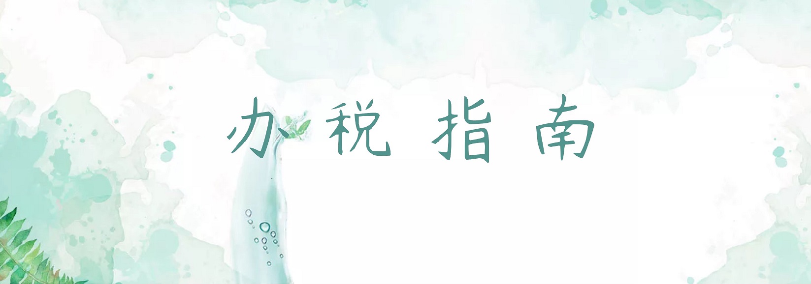 办税指南