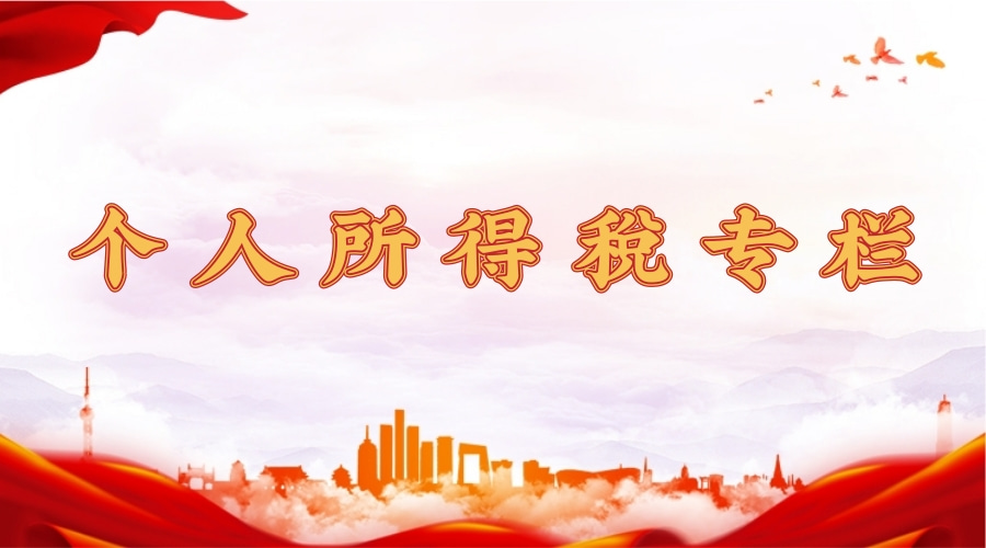 个人所得税专栏