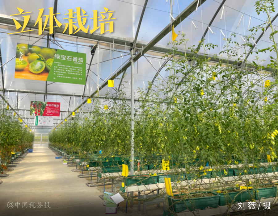 东部地区县域经济领跑全国｜“指尖光影”第61期