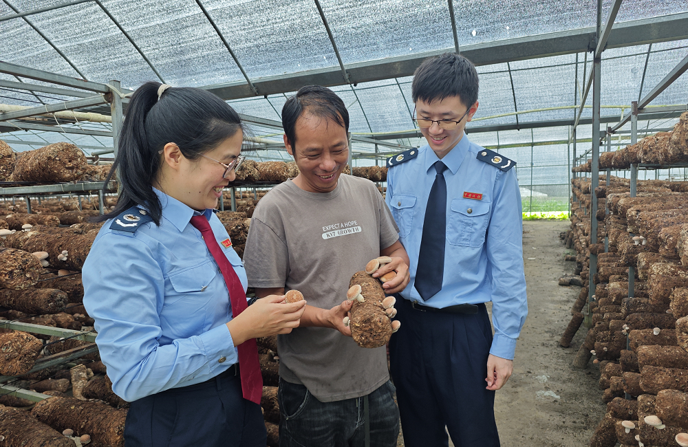 税惠“微视角”照见乡村大发展——清远税务精细化服务乡村振兴见闻录