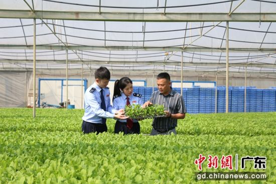 中国新闻网：科技“智”造+税惠政策助力清远农业