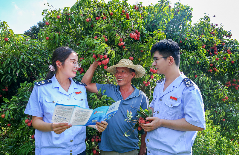 人民日报：广东佛冈：“泡汤品荔”引客来