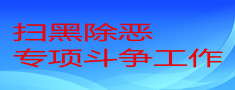 扫黑除恶专项斗争工作