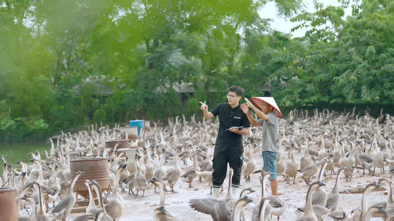 从“弄潮儿”到“常青树”｜诚信纳税人 合规经营路