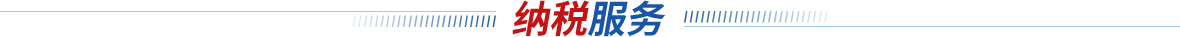 纳税服务
