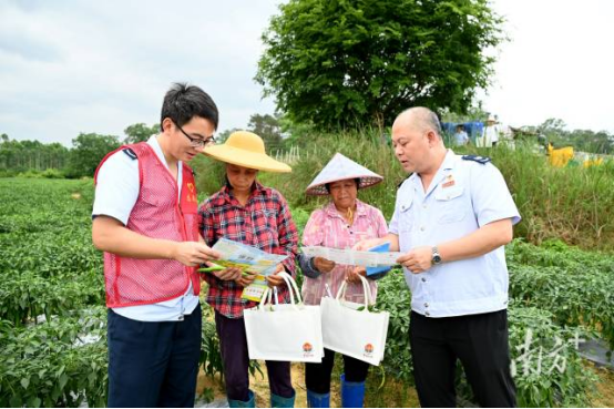 南方＋：田间地头开“税课” ，阳春供港澳蔬菜开出首张电子发票