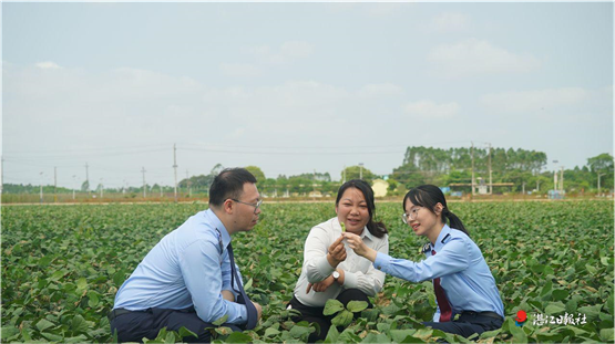 从“一片叶”到“金钥匙” 税务合规助力企业发展壮大